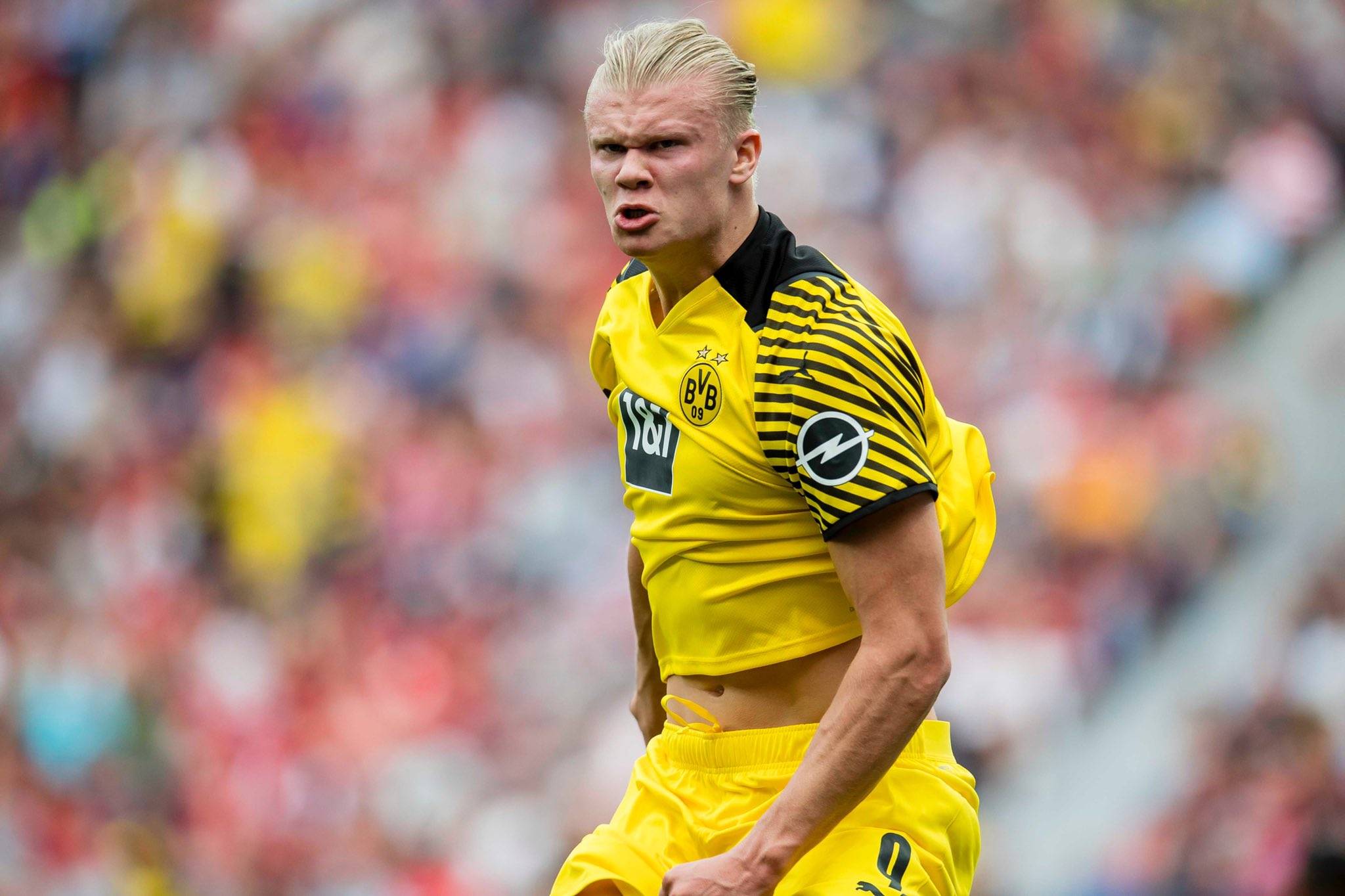 皇马四将染黄，贝林厄姆违规进场遭警告（皇马四人领黄，贝林厄姆违规入场被警告）