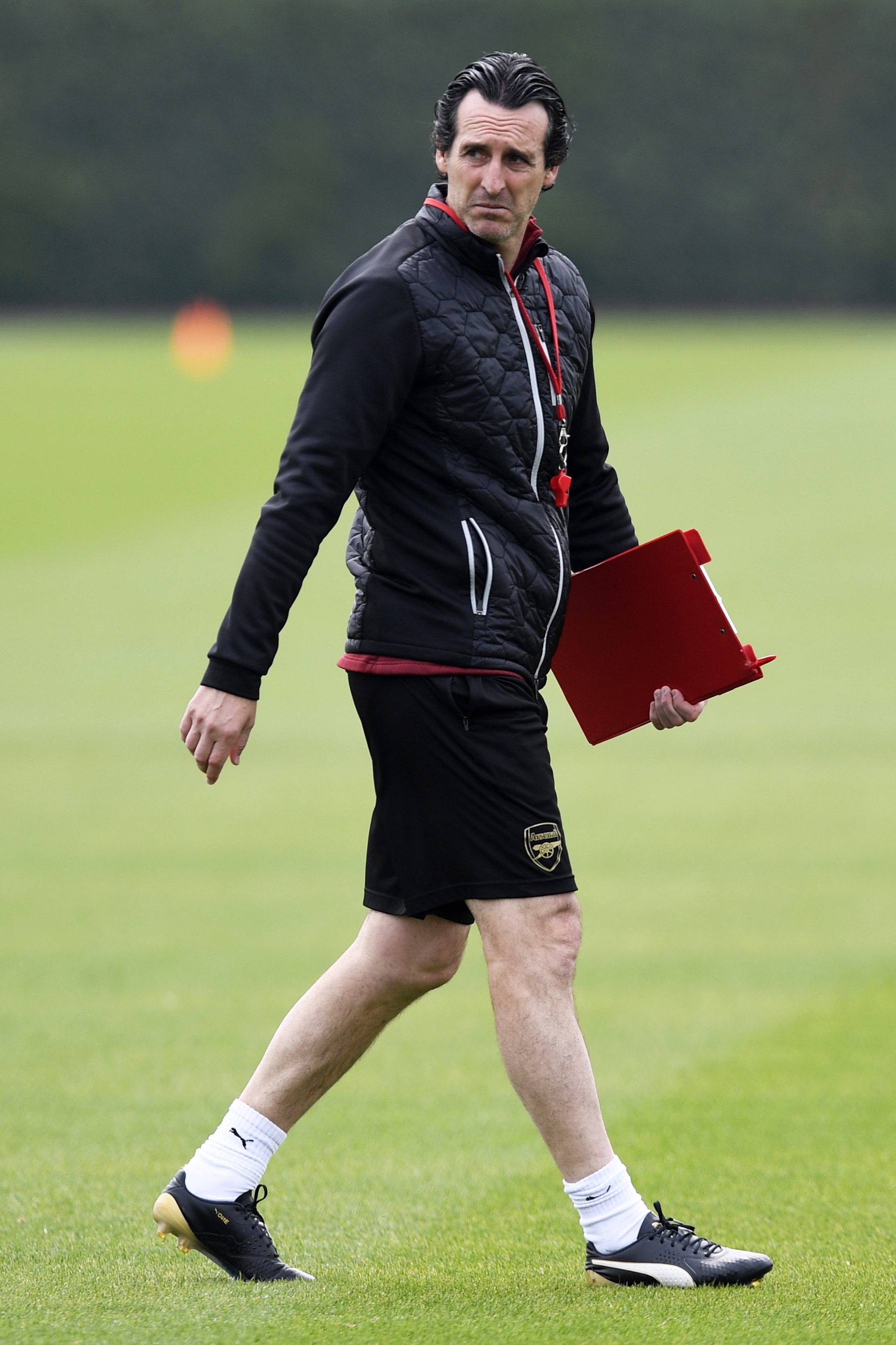 玩跨界，德尔-皮耶罗和马尔基西奥将为意语版疯狂动物城2配音（跨界出击：德尔皮耶罗与马尔基西奥为意大利语版《疯狂动物城2》献声）